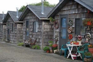 Studio Apartment $1000.00